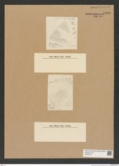 Diatomeae indet. Zeichnungen Sammlung Grunow Nr. 7606 (NHMW-BOT-W0376774)